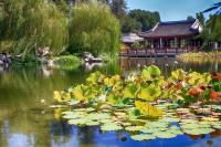 Garden in Huntington Library 